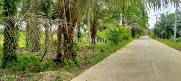 image TANAH 3 HA PINGGIR JALAN PROVINSI DI PPU, COCOK UNTUK INVESTASI (1)