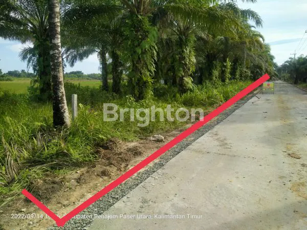 image TANAH 3 HA PINGGIR JALAN PROVINSI DI PPU, COCOK UNTUK INVESTASI (2)