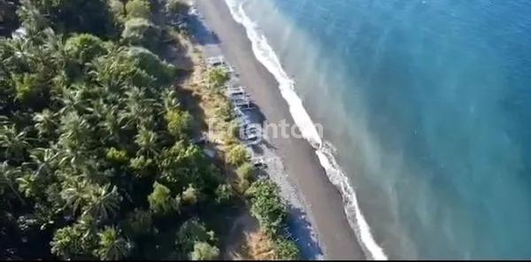 image TANAH MURAH LOS PANTAI TIANYAR (1)