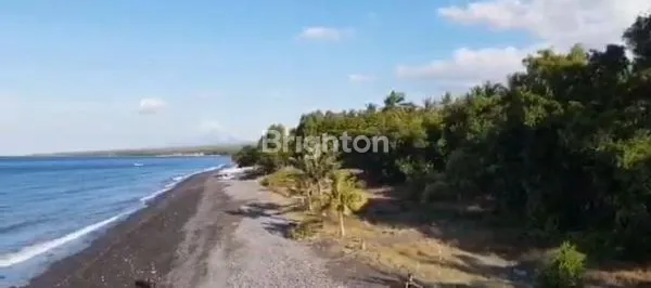 image TANAH MURAH LOS PANTAI TIANYAR (5)