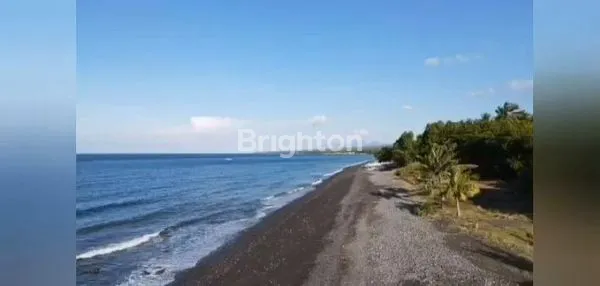 image TANAH MURAH LOS PANTAI TIANYAR (2)