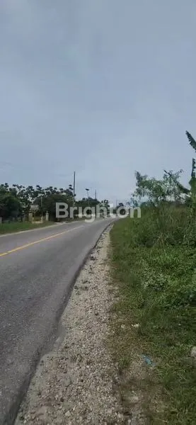 image TANAH PREMIUM 8400M² TEPI JALAN LINTAS TIMUR - SHM LENGKAP (4)