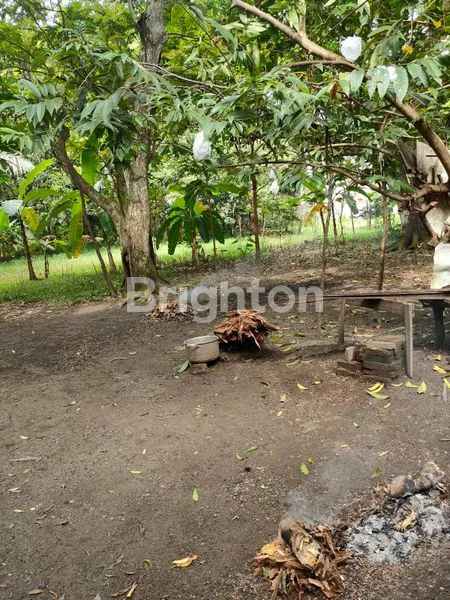 image JUAL TANAH DI BANDA ACEH DEKAT HOTEL HERMES (5)