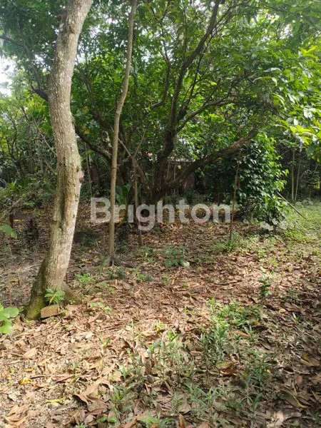 image JUAL TANAH DI BANDA ACEH DEKAT HOTEL HERMES (2)