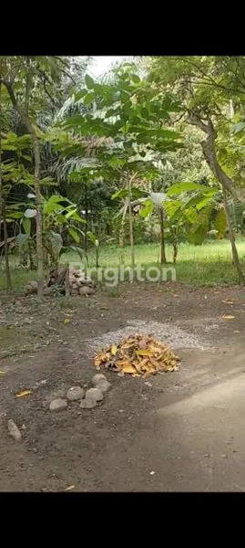 JUAL TANAH DI BANDA ACEH DEKAT HOTEL HERMES