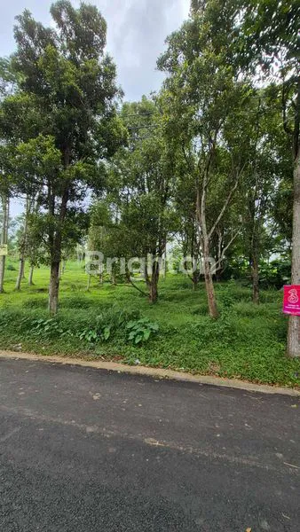 image LAHAN PREMIUM 4.8 HA DI PRIGEN - LOKASI STRATEGIS DEKAT WISATA (4)