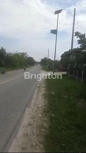 image TANAH PREMIUM 1 HA PINGGIR JALAN LINTAS TIMUR - 20 MENIT KE SSQ (2)