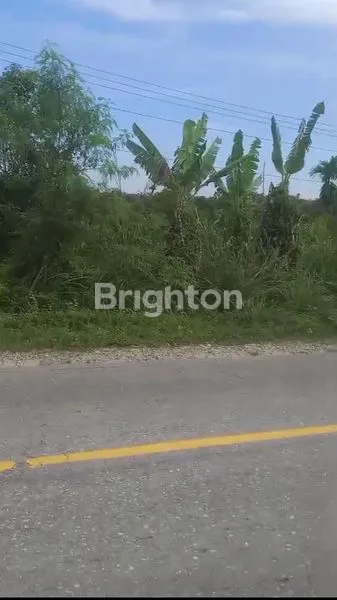 image TANAH PREMIUM 1 HA PINGGIR JALAN LINTAS TIMUR - 20 MENIT KE SSQ (3)