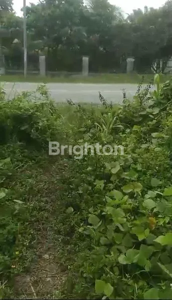 image TANAH PREMIUM 1 HA PINGGIR JALAN LINTAS TIMUR - 20 MENIT KE SSQ (5)