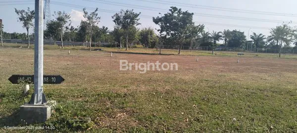 image  TANAH MURAH (3)