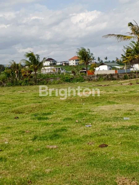 image TANAH DIJUAL SELUAS 1,75 HA LOS PANTAI DIKAWASAN SURFING DUNIA MEDEWI JEMBRANA BALI (6)