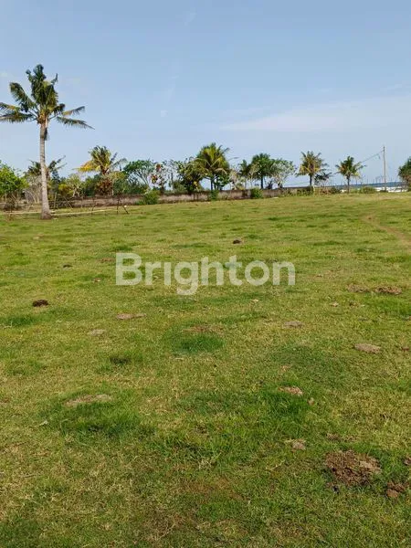 image TANAH DIJUAL SELUAS 1,75 HA LOS PANTAI DIKAWASAN SURFING DUNIA MEDEWI JEMBRANA BALI (1)