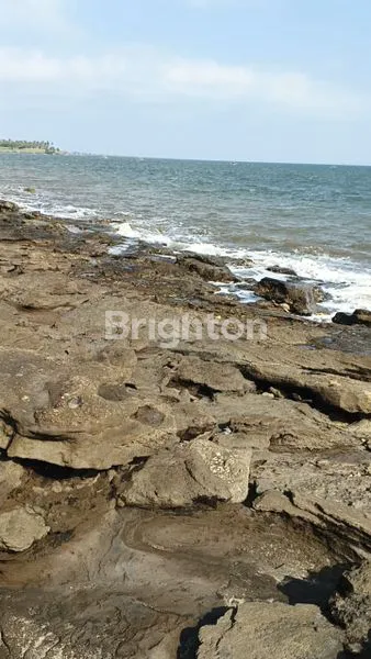 image TANAH DIJUAL MURAH LUAS 2,16 HA DIPINGGIR PANTAI DENGAN SUNSET YANG SANGAT MENAWAN BERADA DIPANTAI RENING JEMBRANA BALI (7)