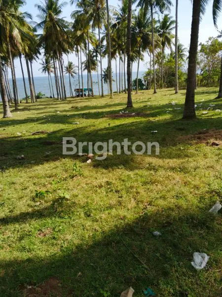 image TANAH DIJUAL MURAH LUAS 2,16 HA DIPINGGIR PANTAI DENGAN SUNSET YANG SANGAT MENAWAN BERADA DIPANTAI RENING JEMBRANA BALI (5)