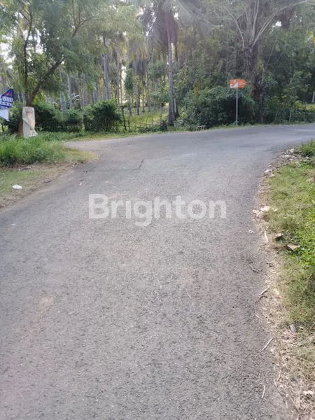 image TANAH DIJUAL MURAH LUAS 2,16 HA DIPINGGIR PANTAI DENGAN SUNSET YANG SANGAT MENAWAN BERADA DIPANTAI RENING JEMBRANA BALI (4)