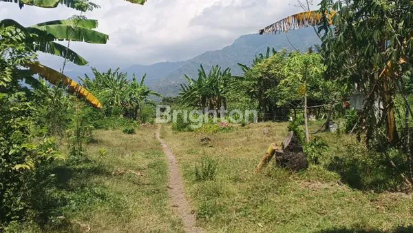 image TANAH DIJUAL LUAS 3,42 HA SHM AMAN, BERADA DI DESA SANGGALANGIT GROKGAK DEKAT PANTAI LOVINA DAN PANTAI PEMUTERAN BULELENG BALI (5)