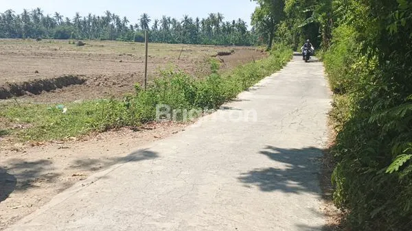 image TANAH DIJUAL LUAS 3,42 HA SHM AMAN, BERADA DI DESA SANGGALANGIT GROKGAK DEKAT PANTAI LOVINA DAN PANTAI PEMUTERAN BULELENG BALI (7)