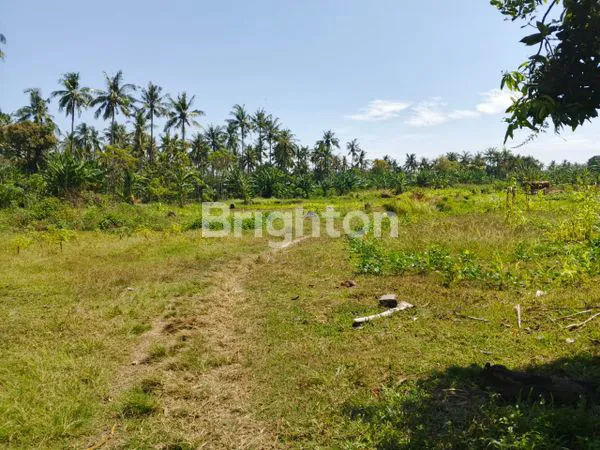 image TANAH DIJUAL LUAS 3,42 HA SHM AMAN, BERADA DI DESA SANGGALANGIT GROKGAK DEKAT PANTAI LOVINA DAN PANTAI PEMUTERAN BULELENG BALI (4)