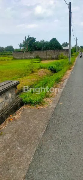 image TANAH DIJUAL LUAS 200 M2 SHM AMAN, DI KOTA NEGARA JEMBRANA BALI (3)