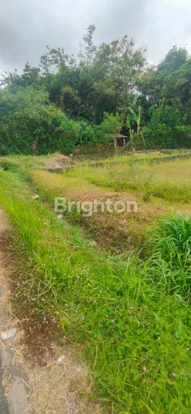 image TANAH DIJUAL LUAS 200 M2 SHM AMAN, DI KOTA NEGARA JEMBRANA BALI (6)