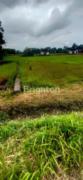image TANAH DIJUAL LUAS 200 M2 SHM AMAN, DI KOTA NEGARA JEMBRANA BALI (4)