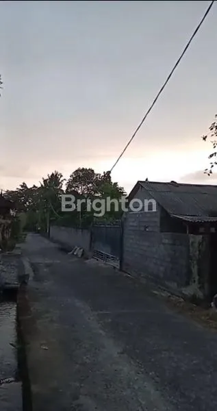 image  LAND FOR SALE IN  PENEBEL TABANAN! (3)