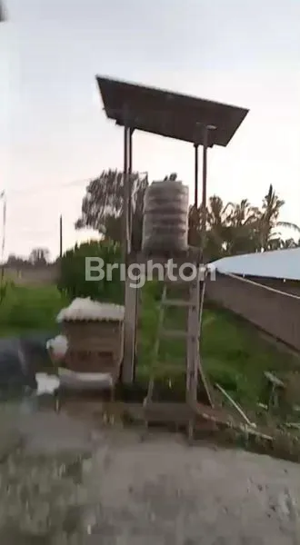 image  LAND FOR SALE IN  PENEBEL TABANAN! (2)