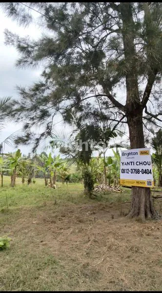 *TANAH DIJUAL DI TABANAN – LUAS 37 ARE, LEBAR ±60M, BONUS RUMAH BURUNG & SUMUR*