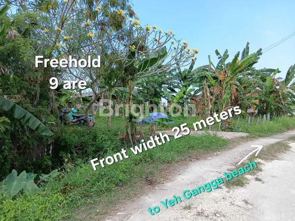 TANAH DIJUAL DEKAT WAKA GANGGA HOTEL DI PANTAI YEH GANGGA TABANAN BALI