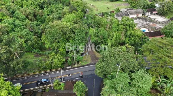 image TANAH ZONA PINK COCOK UNTUK VILLA HANYA 50 METER DARI PANTAI (4)