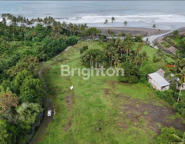 image TANAH ZONA PINK COCOK UNTUK VILLA HANYA 50 METER DARI PANTAI (2)