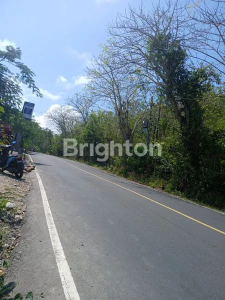 image TANAH PREMIUM 930M² DI BYPASS PANDAWA, DEKAT PANTAI PANDAWA (3)