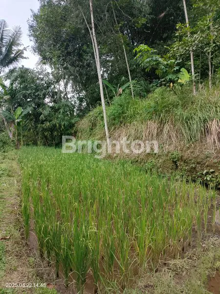 image TANAH ASRI DENGAN SUMBER MATA AIR – COCOK UNTUK VILLA, GLAMPING & SLOW LIVING DI SUBANG, JAWA BARAT (1)