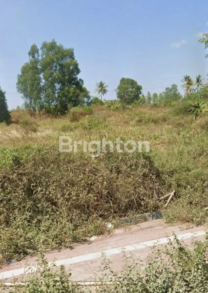 DIJUAL TANAH LUAS STRATEGIS CILEGON TANGERANG