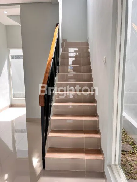 image RAFFLESIA RESINDECE (6)