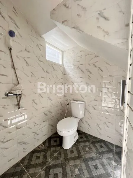 image RAFFLESIA RESINDECE (7)