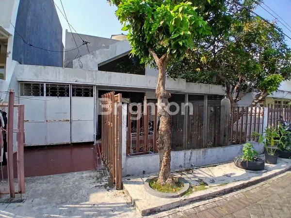 image MANYAR KERTOADI (1)