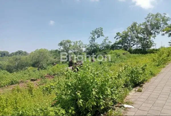 image TANAH KOSONG BENOA (4)