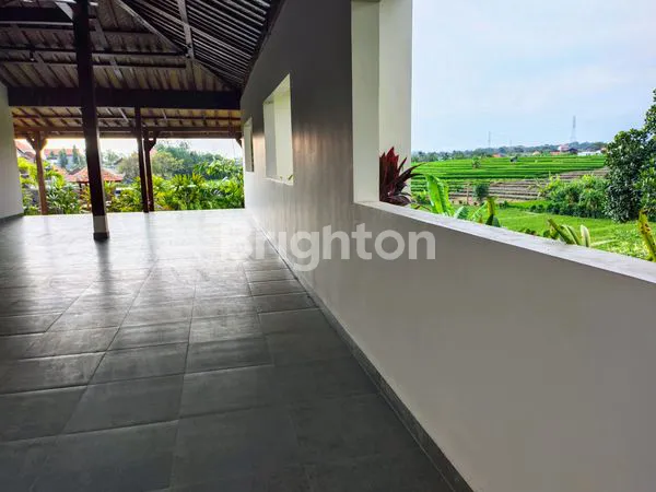 image 2 UNIT 2 BR VILLA VIEW RICE FIELD MUNGGU (4)