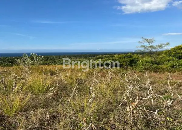image TANAH KOSONG BULELENG SANIH (4)