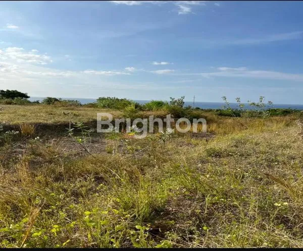 image TANAH KOSONG BULELENG SANIH (6)