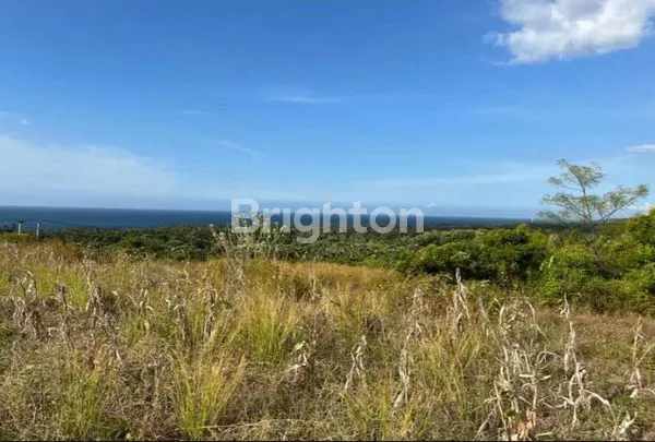 image TANAH KOSONG BULELENG SANIH (8)