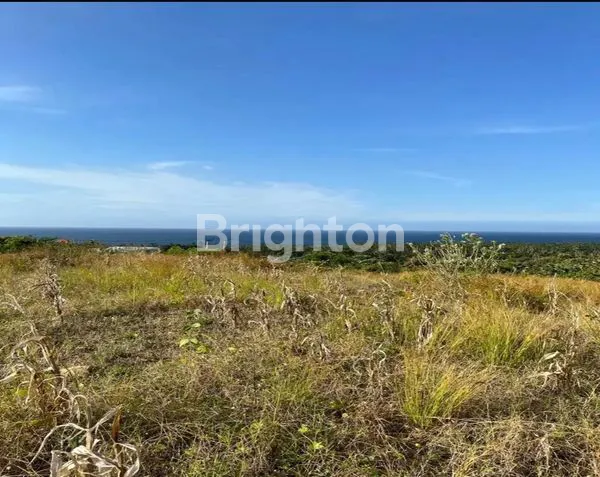 image TANAH KOSONG BULELENG SANIH (3)