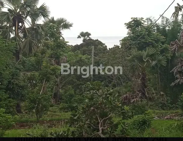 image TANAH KOSONG DESA TEMBOK TEJAKULA (4)