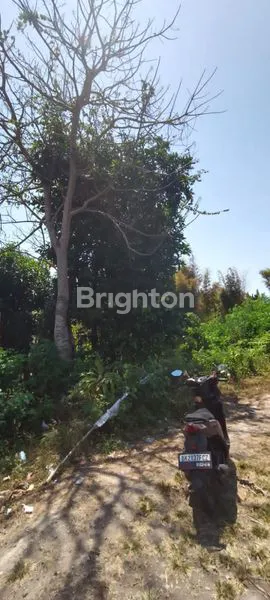 image DI SEWAKAN TANAH  (4)