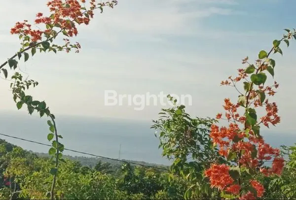 image TANAH KOSONG BULELENG SANIH (3)