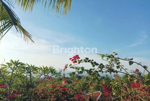 image TANAH KOSONG BULELENG SANIH (1)