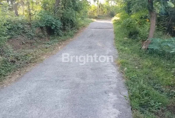 image TANAH KOSONG BULELENG SANIH (2)