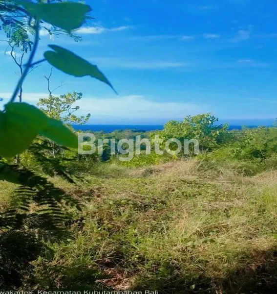 image TANAH KOSONG BULELENG SANIH (3)