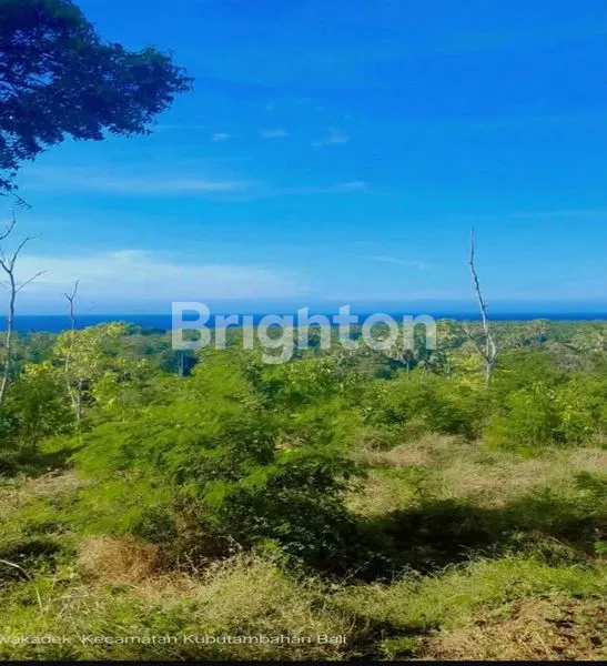 image TANAH KOSONG BULELENG SANIH (2)